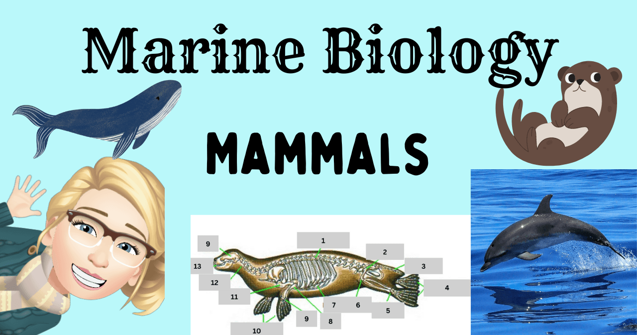 Science & Nature Class - Oceans & Marine