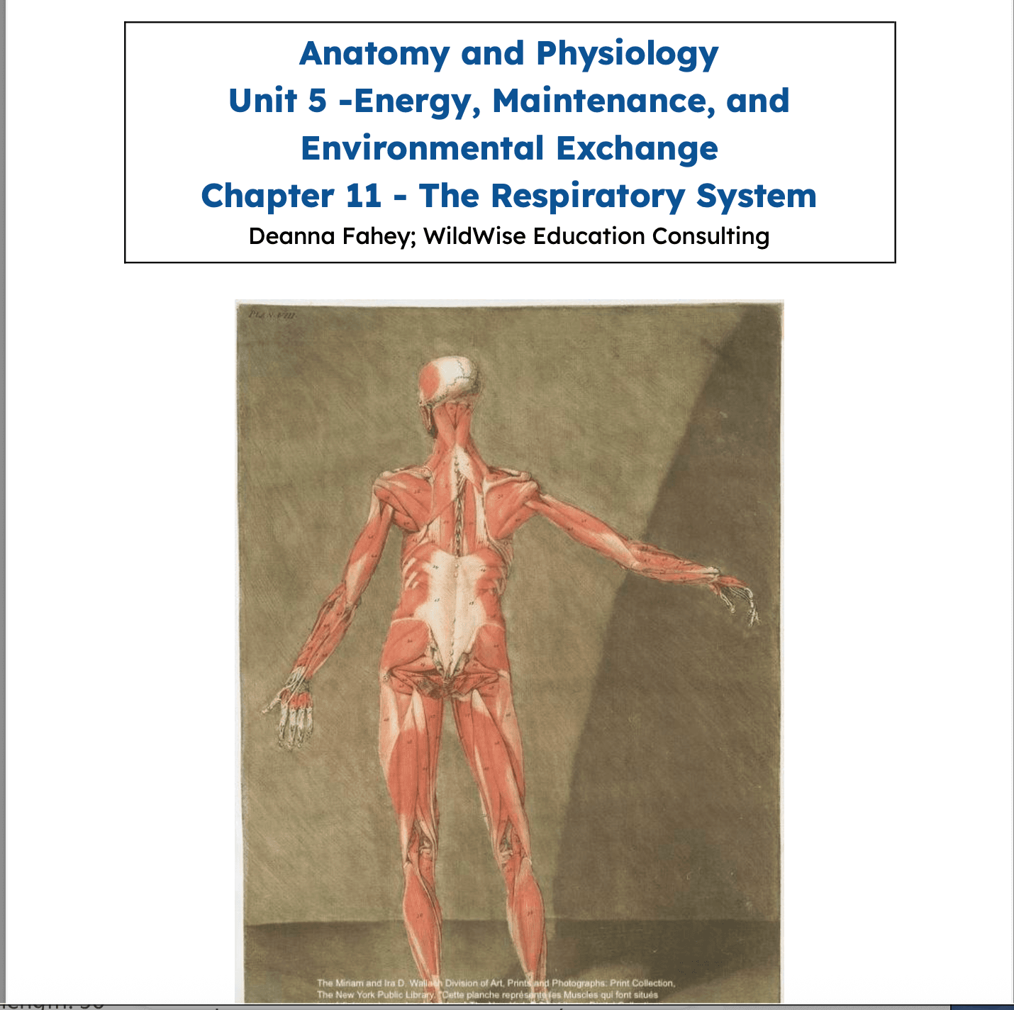 Science & Nature Class - Respiratory Sys