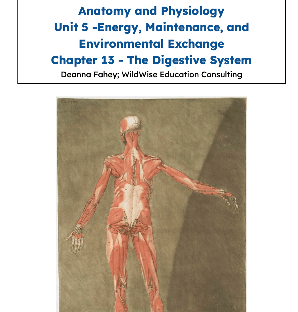 Science & Nature Class - Digestive Sys