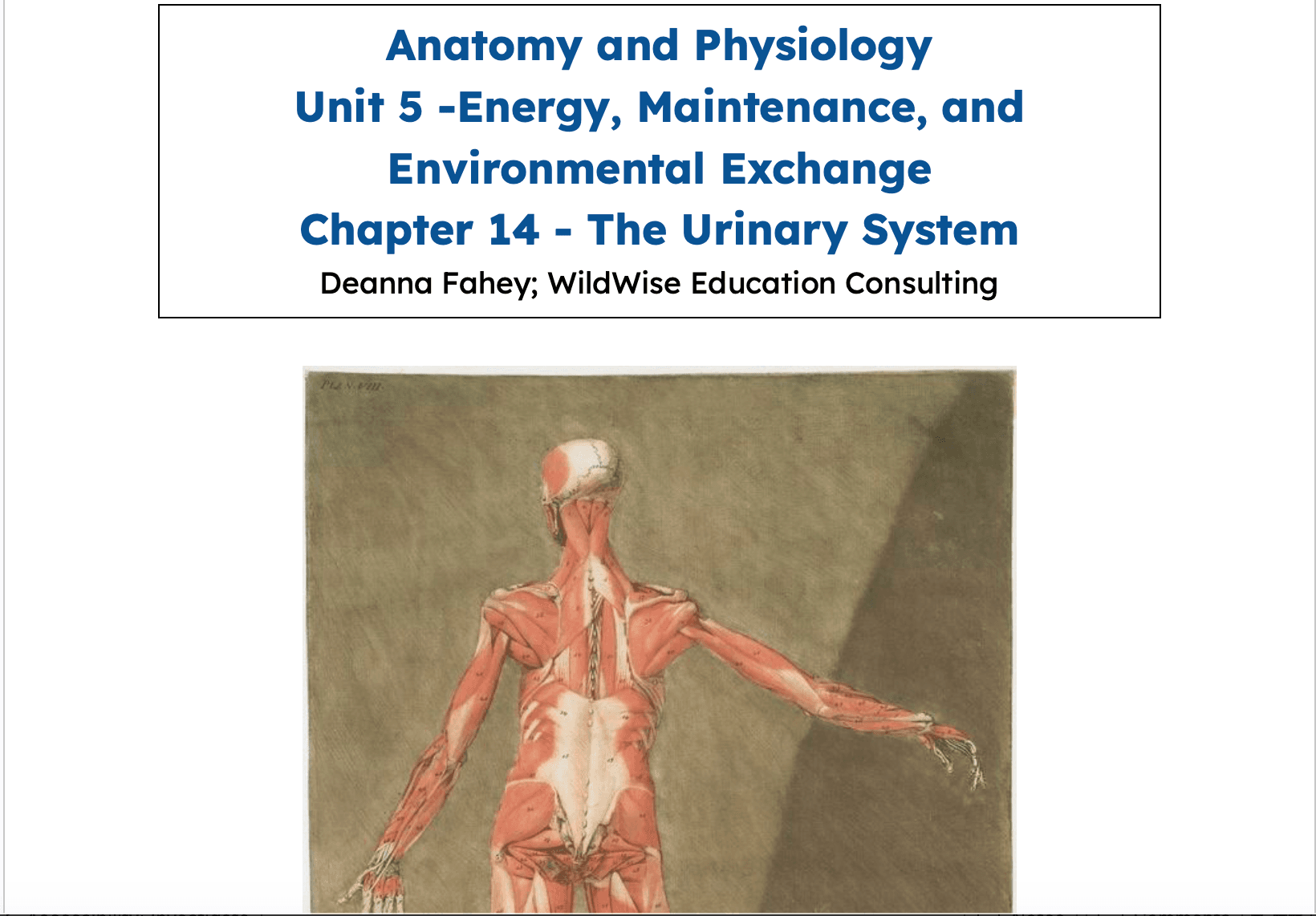 Science & Nature Class - Urinary Sys