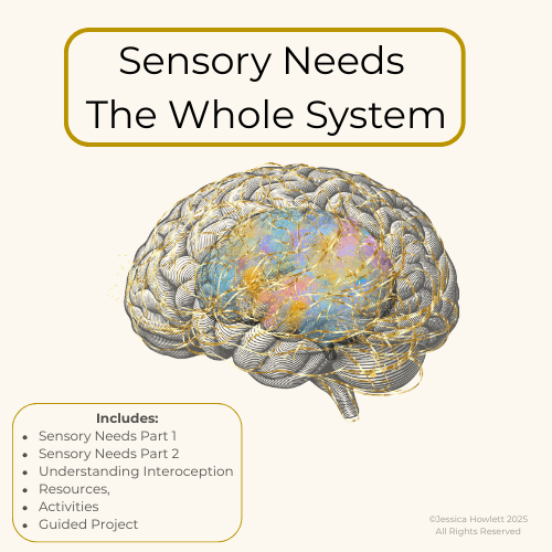Life Skills Class - Autistic Sensory Ed