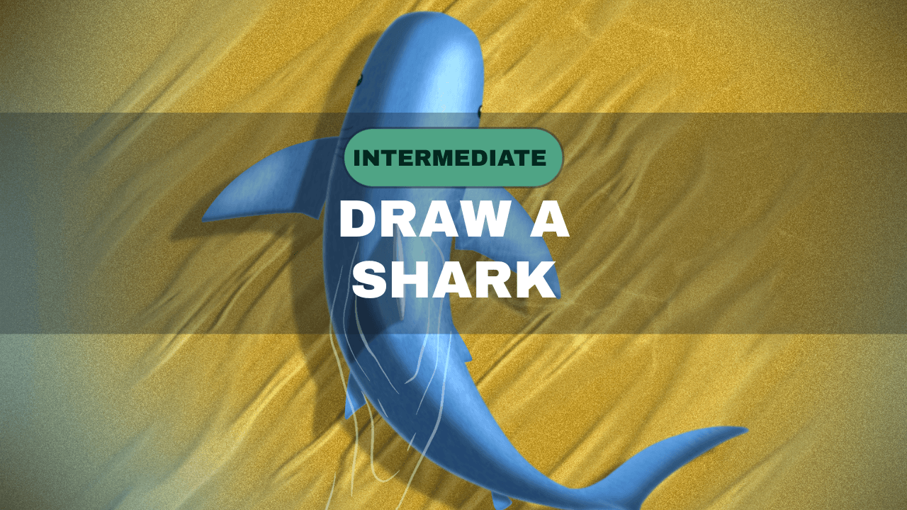 Art Class - Draw a Floating Shark in Pro