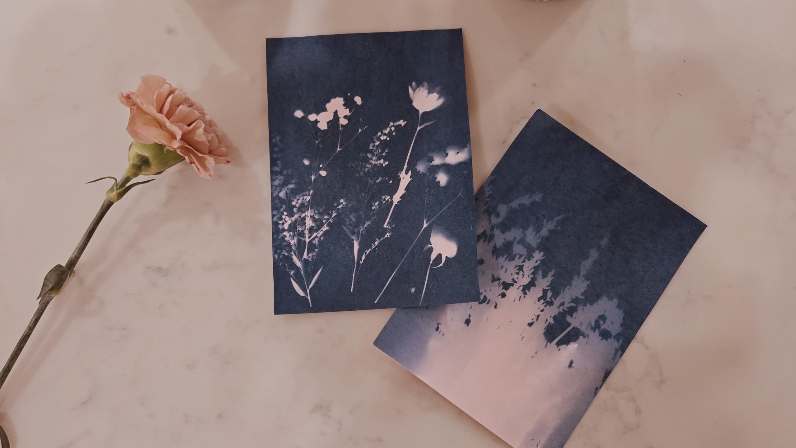 Art Class - Botanical Sunprint Art