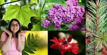 Science & Nature Class - Nature Artistry