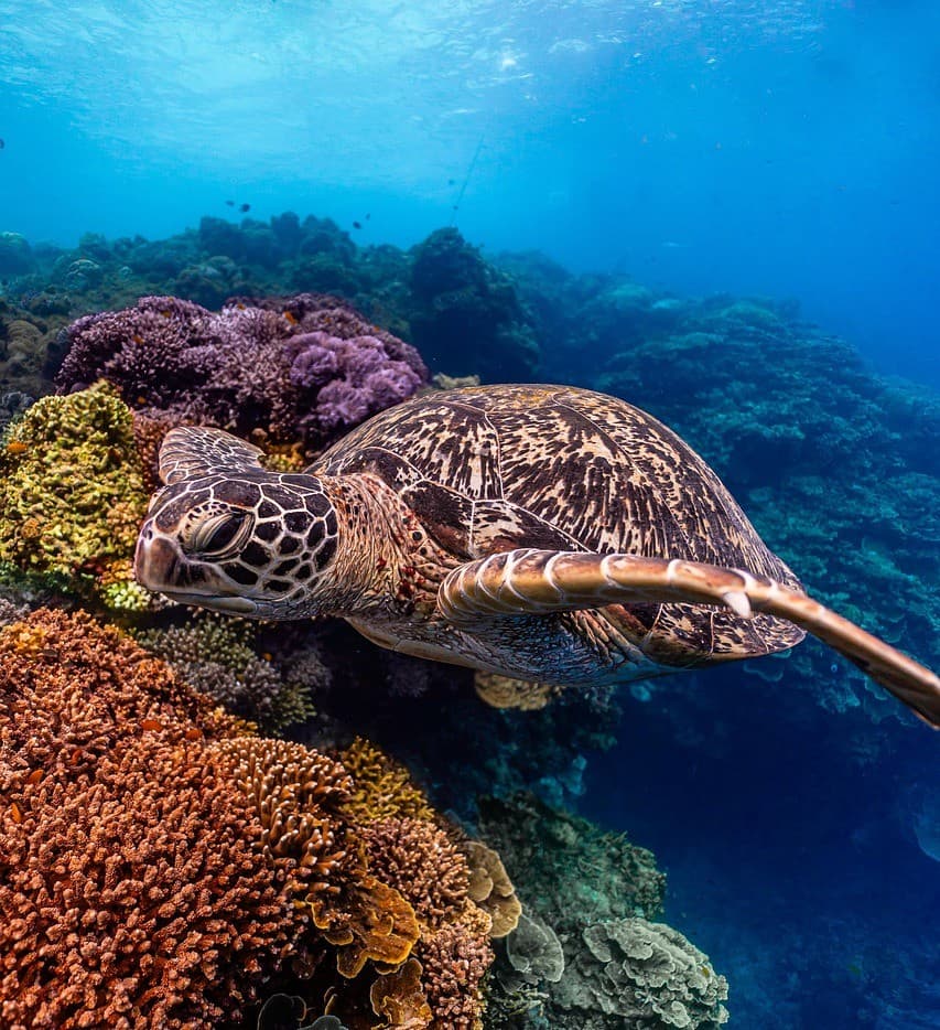 Science & Nature Class - Marine Ecosys
