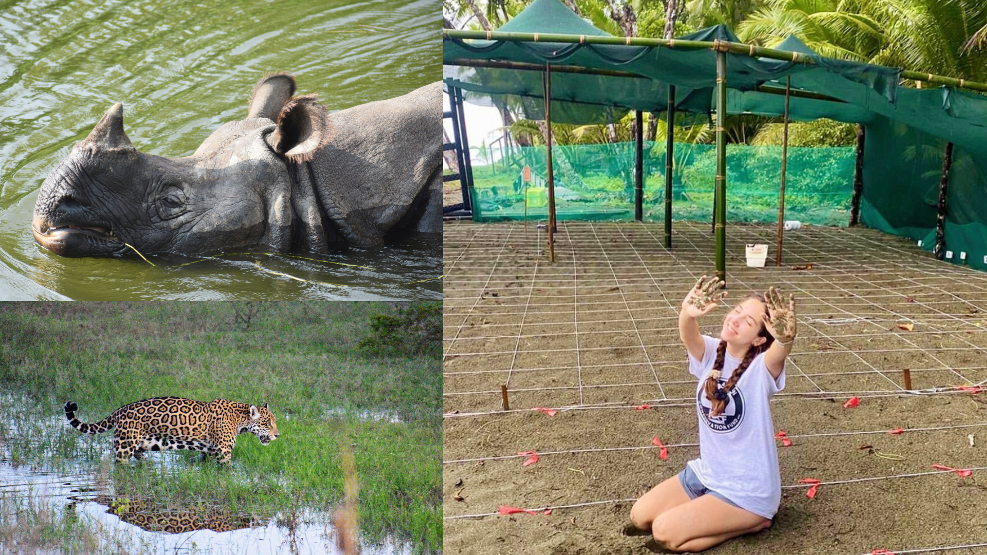 Science & Nature Class - Wildlife Protec