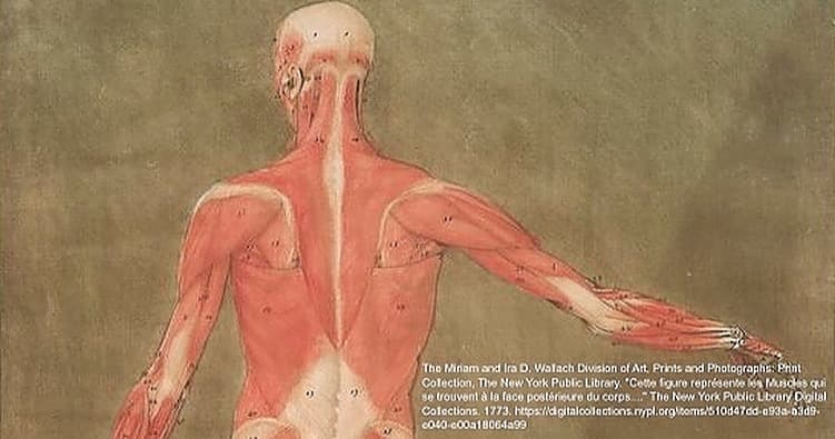 Science & Nature Class - Anatomy & Phys
