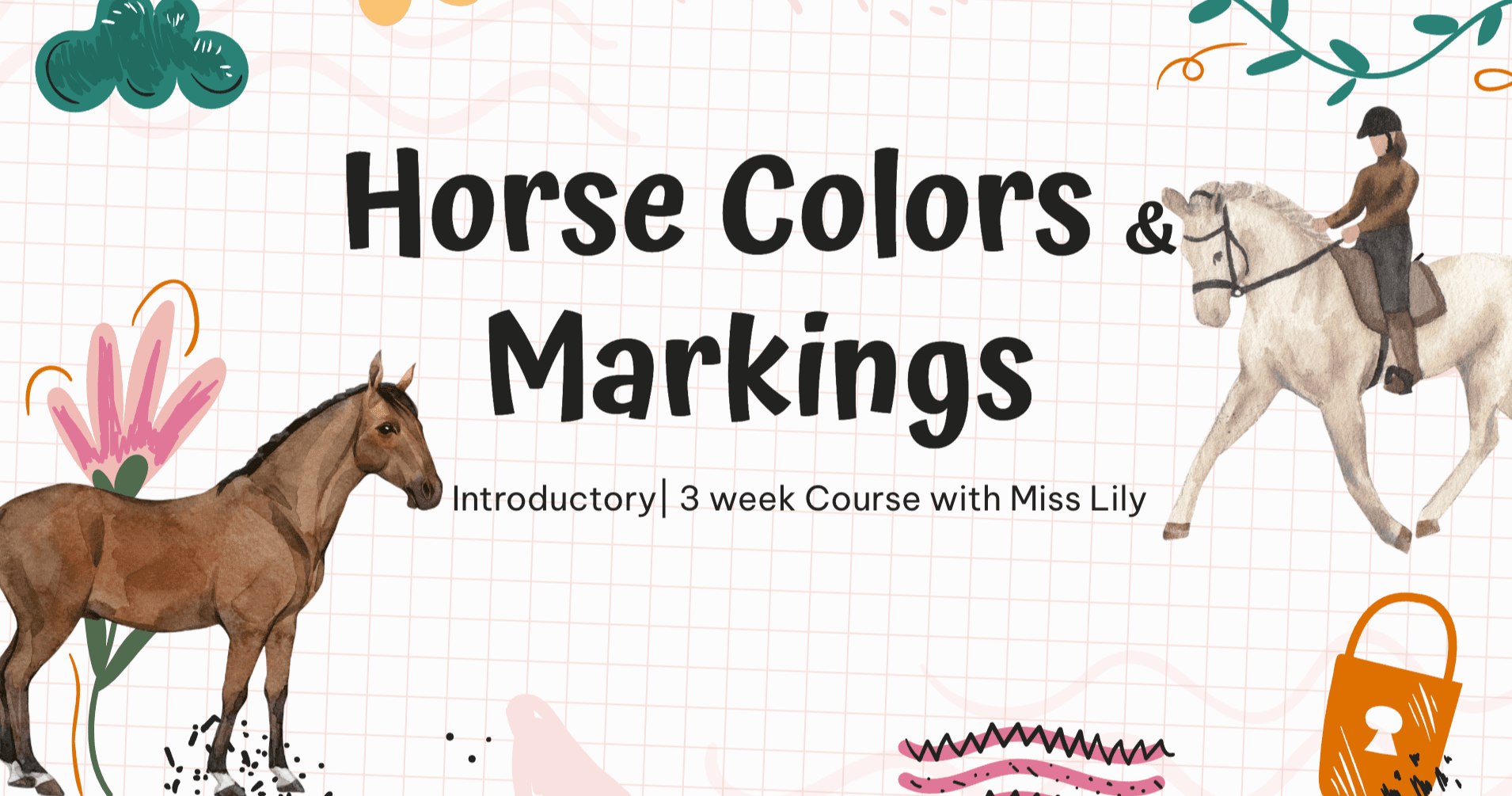 Science & Nature Class - Discover Horse