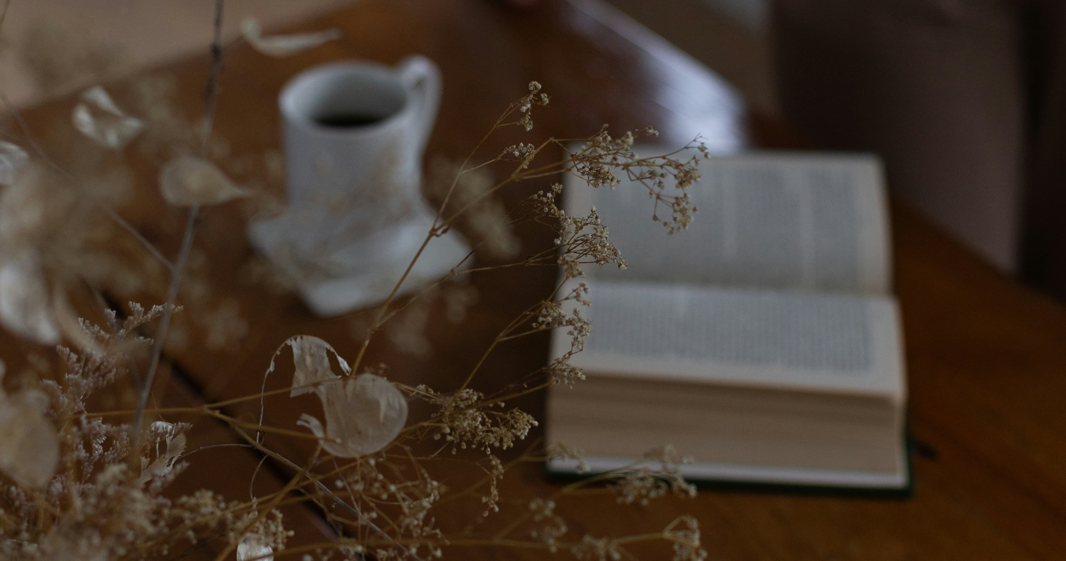 English Class - Craft Compelling Novels