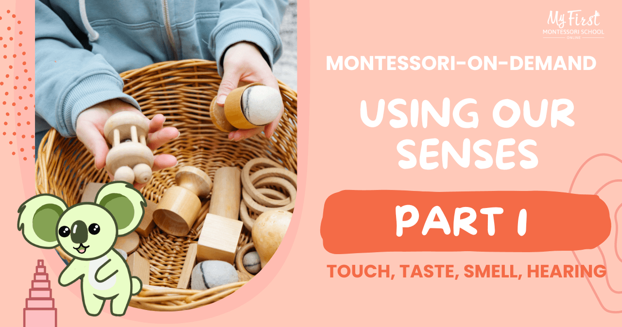 Early Education Class - Montessori DIY