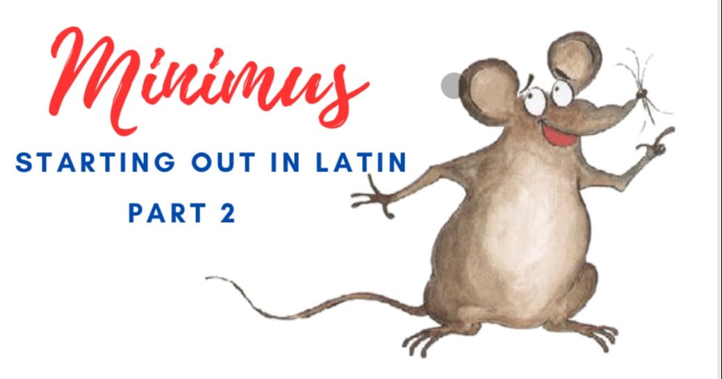 World Languages Class - Intro to Latin