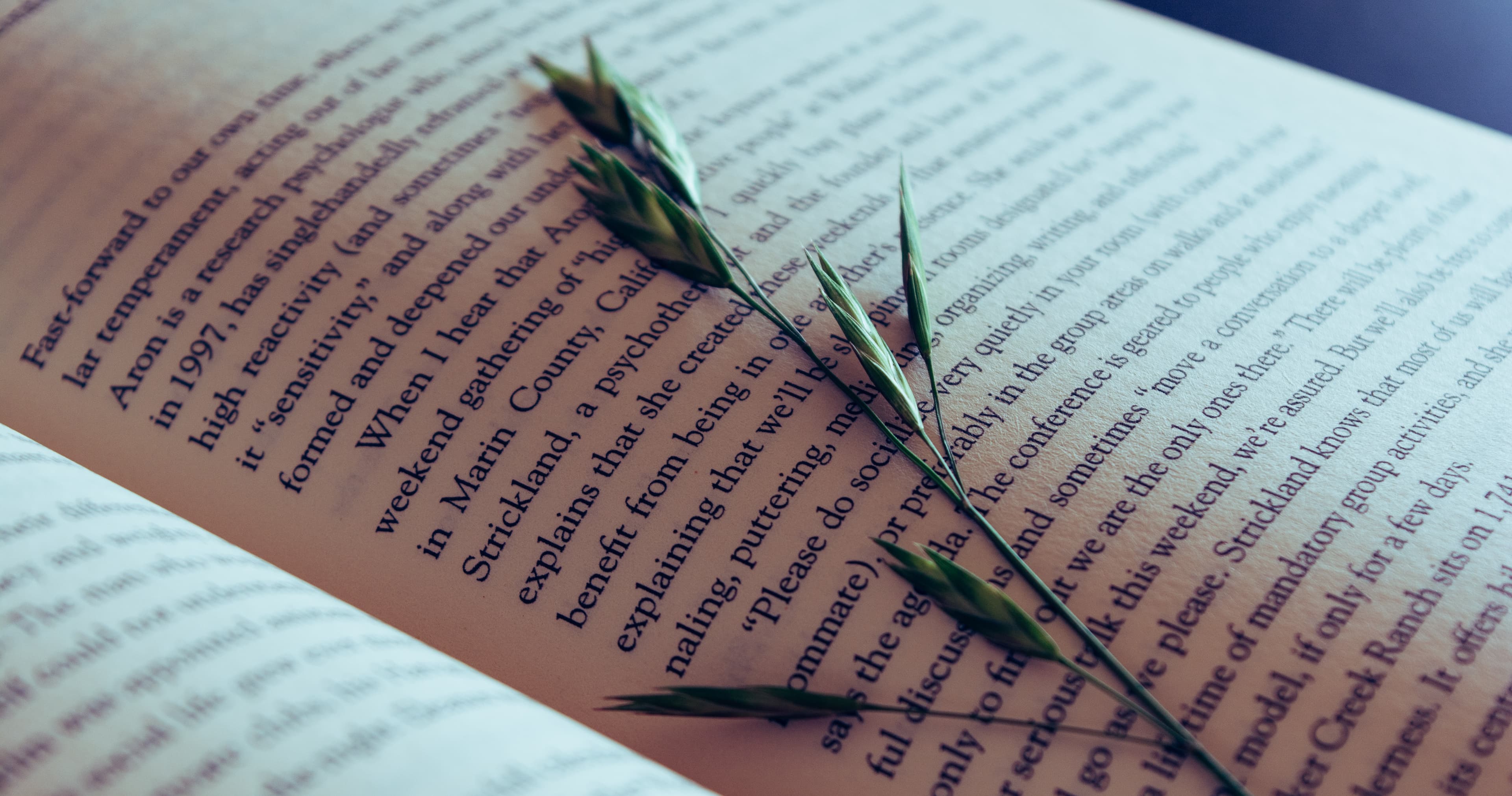 English Class - 30 Day Novel Writing