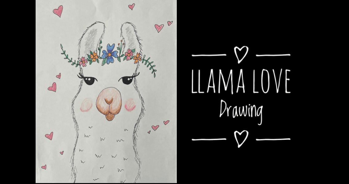 Art Class - Drawing Lovely Llamas!