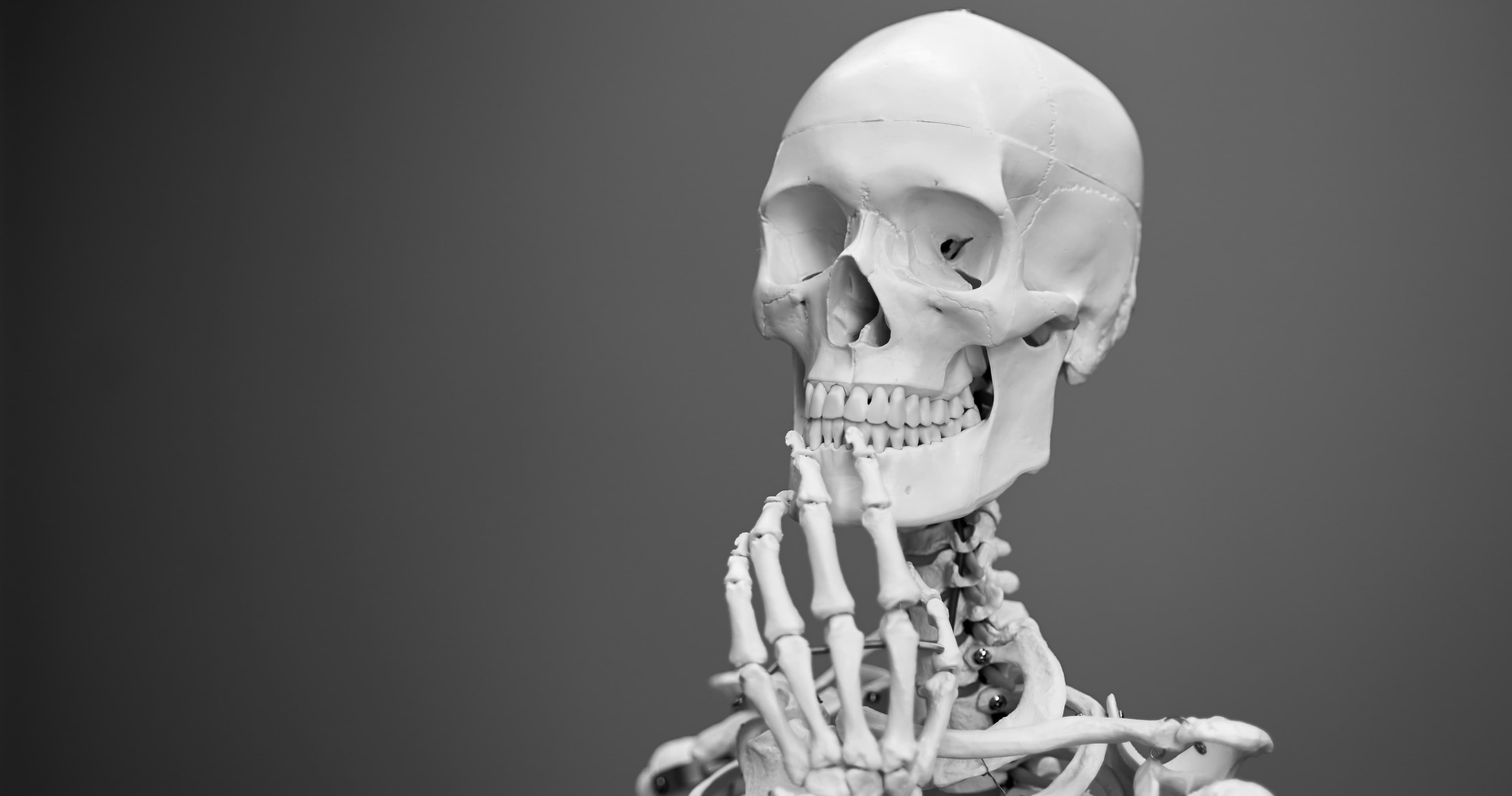 Science & Nature Class - Human Body 101