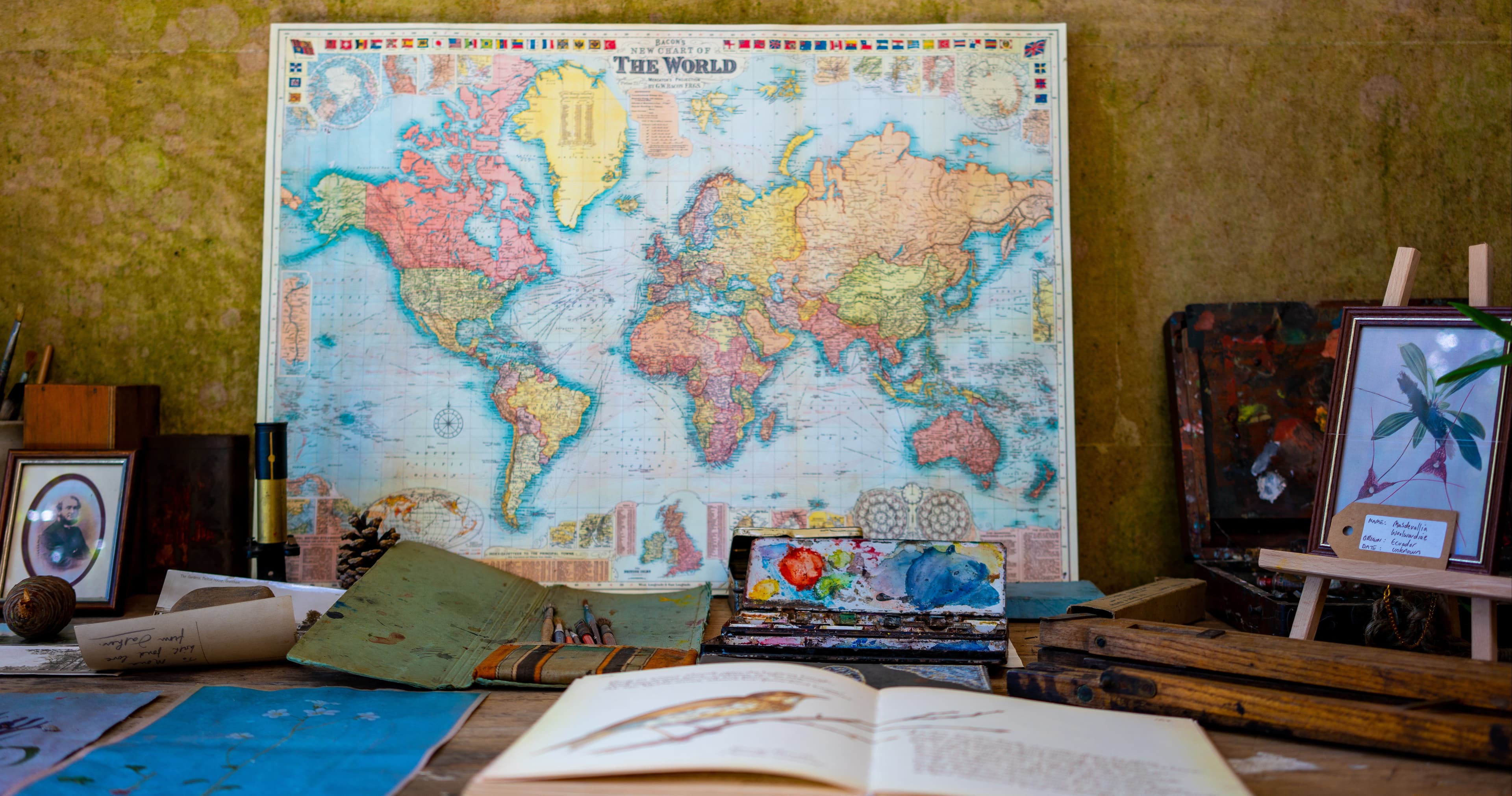 Social Studies Class - World History I
