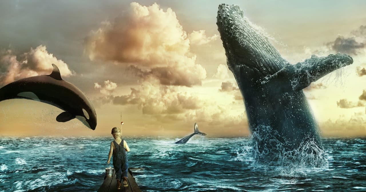 Science & Nature Class - Wonders of Sea