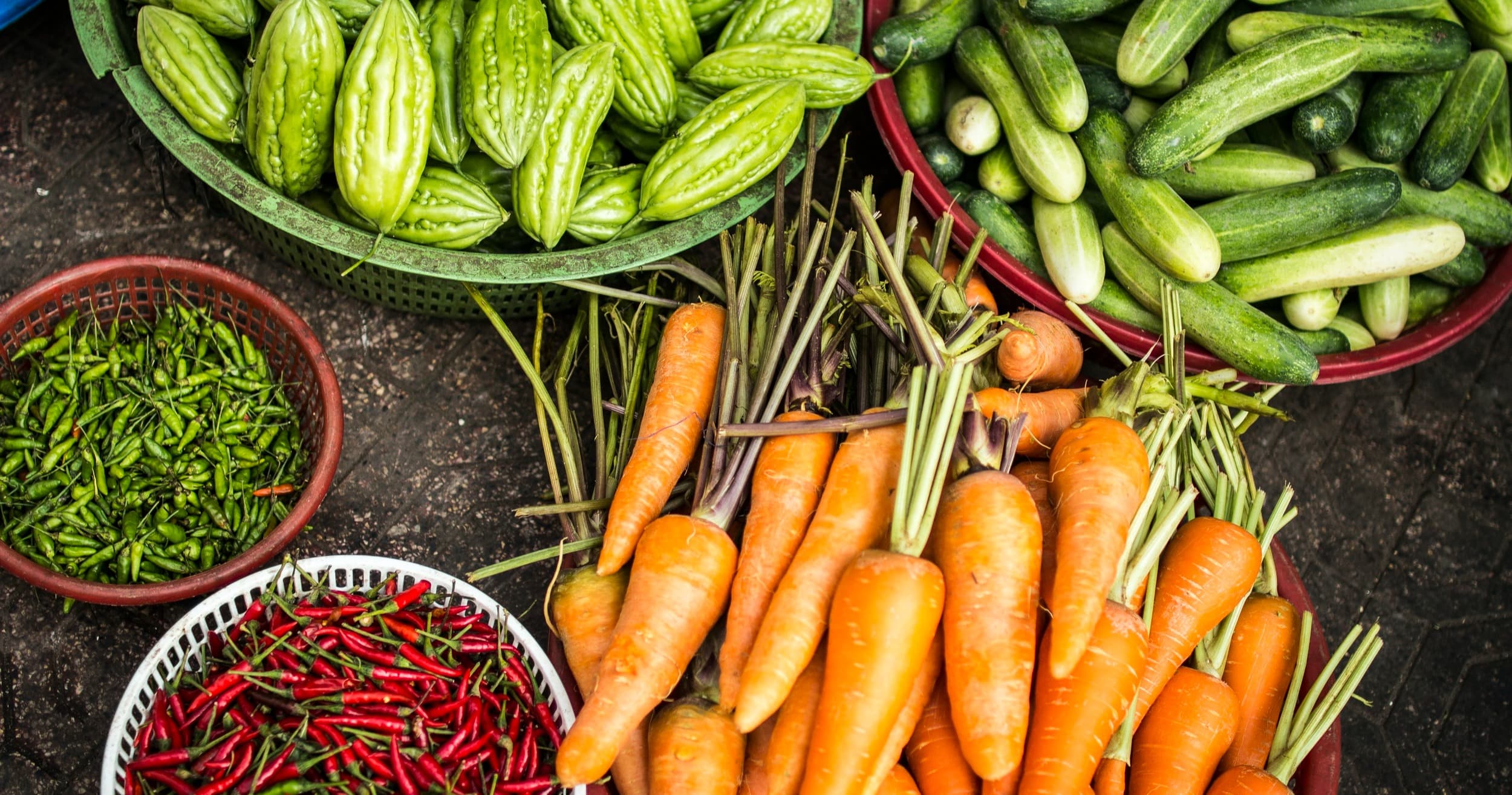 Science & Nature Class - Intro to Agri