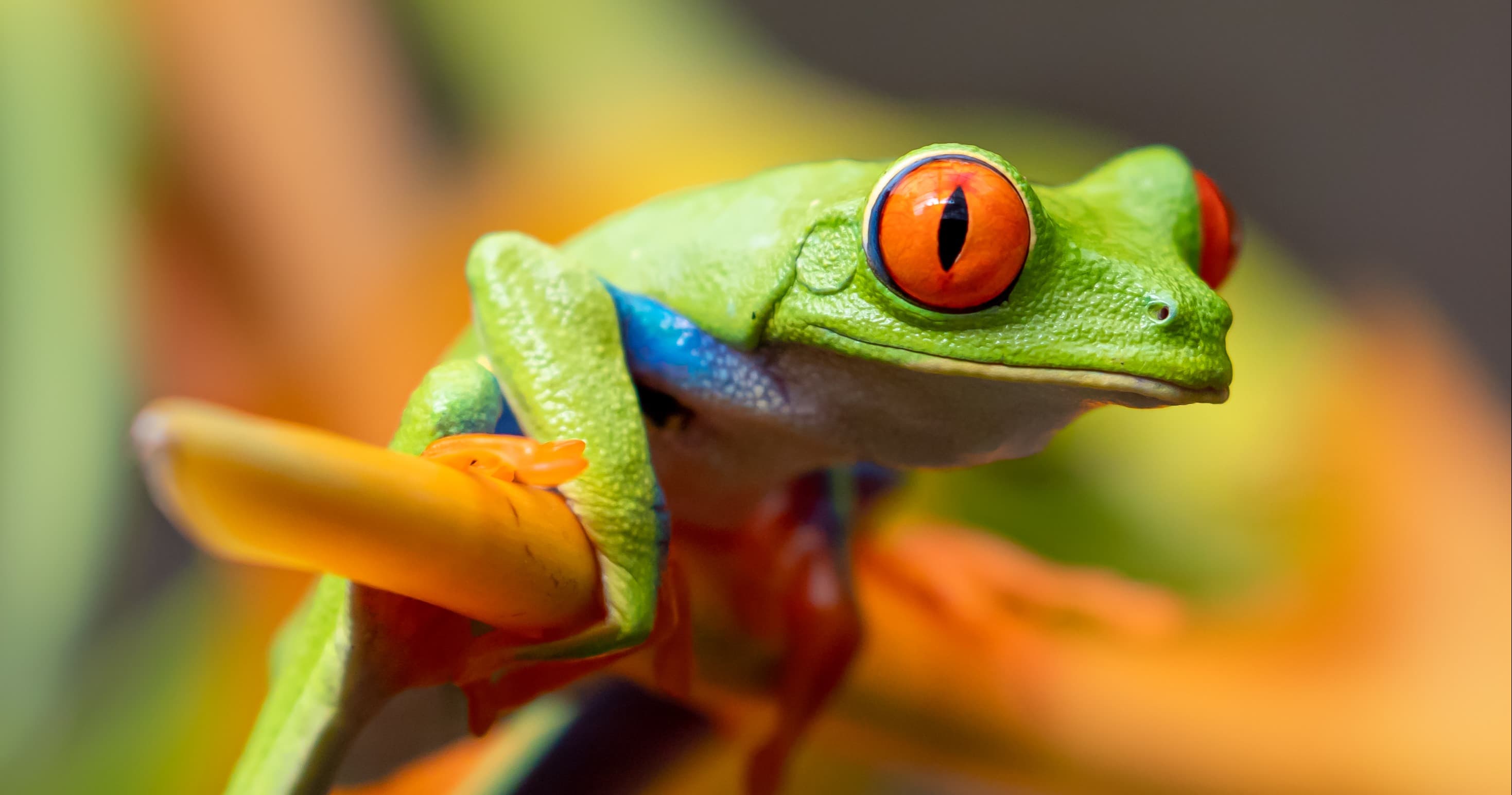 Science & Nature Class - Biomimicry Sci