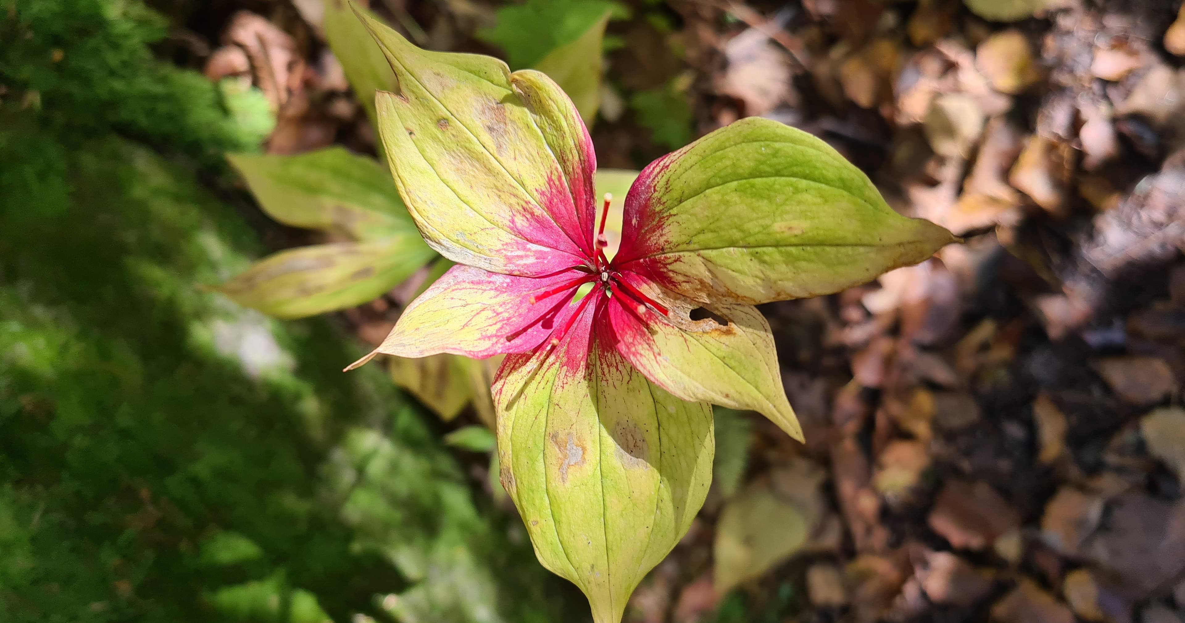 Science & Nature Class - Gardening Sci
