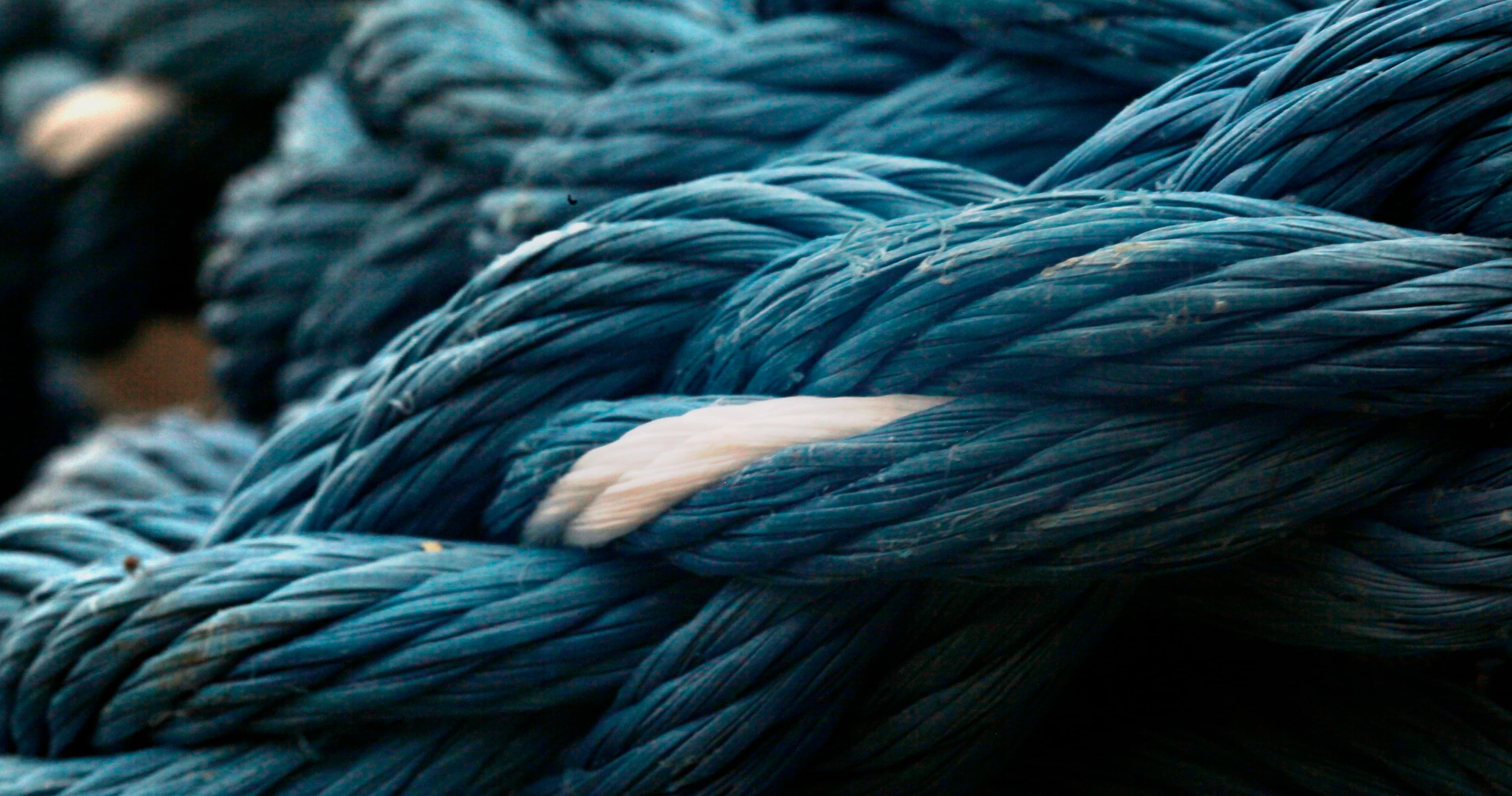 English Class - Exploring Gathering Blue