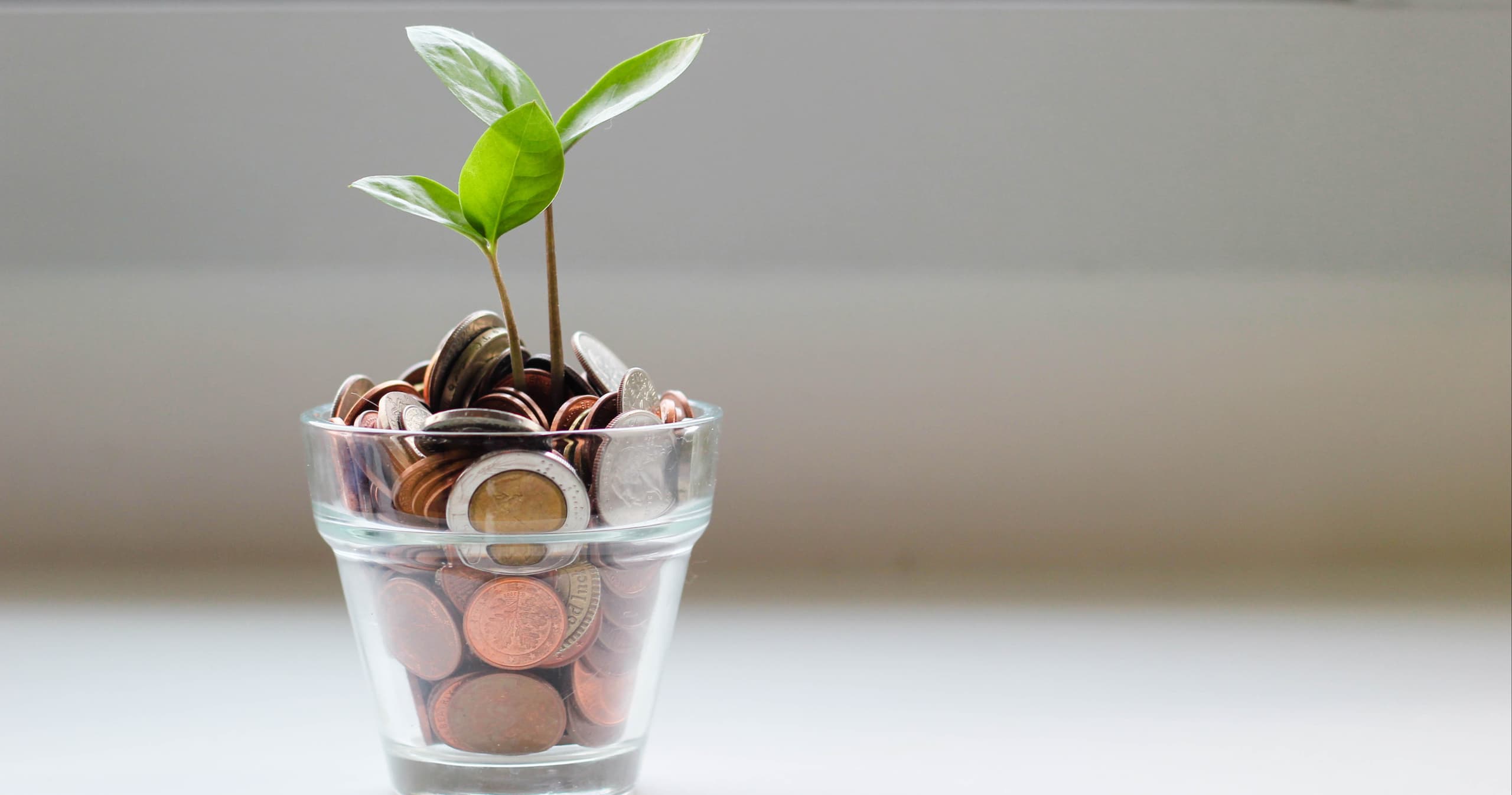 Life Skills Class - Practical Finance