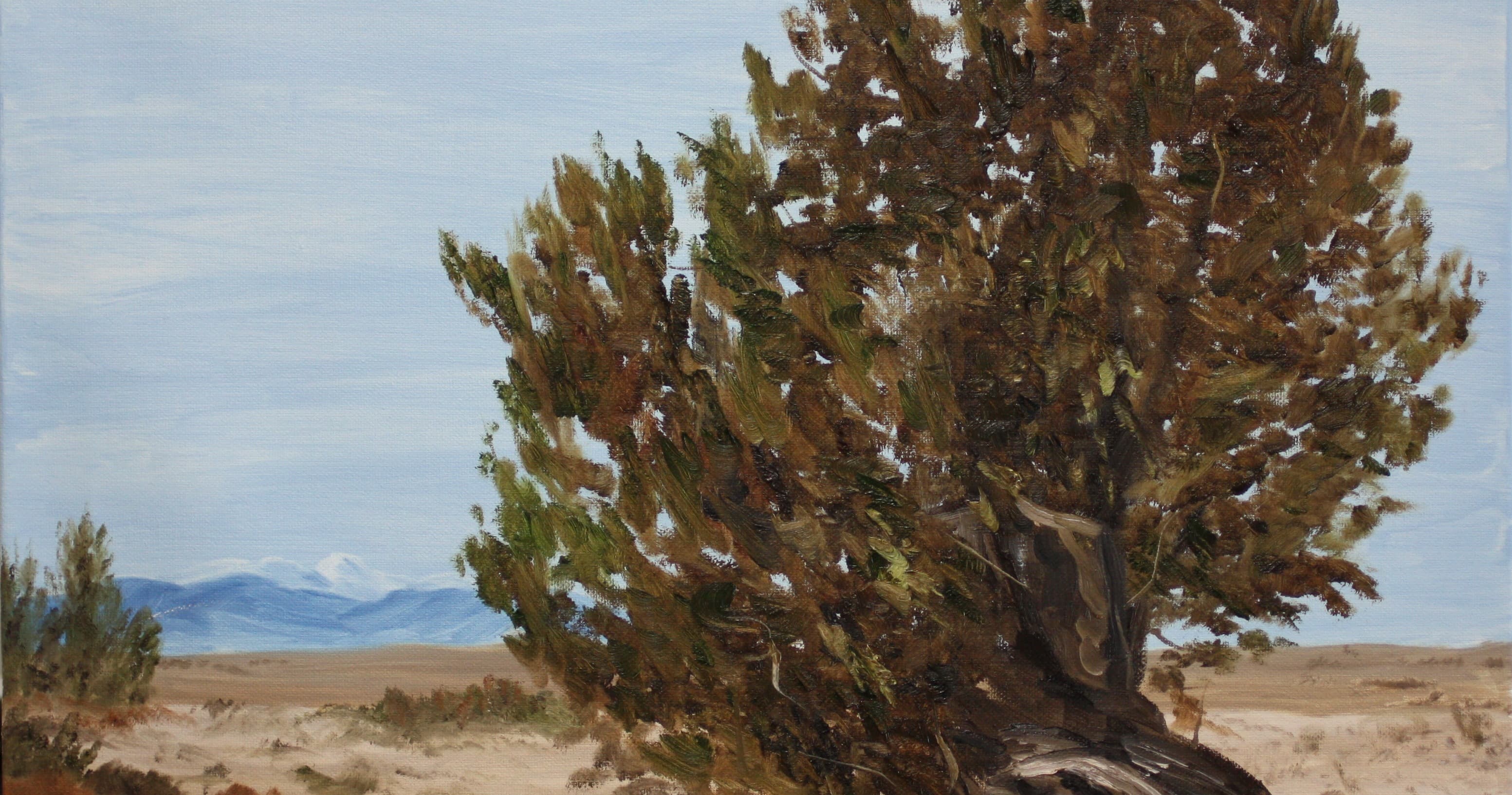 Art Class - Beginner Oil/Acrylic Art