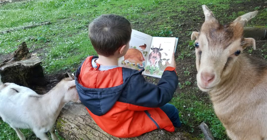 Science & Nature Class - Homestead Tales
