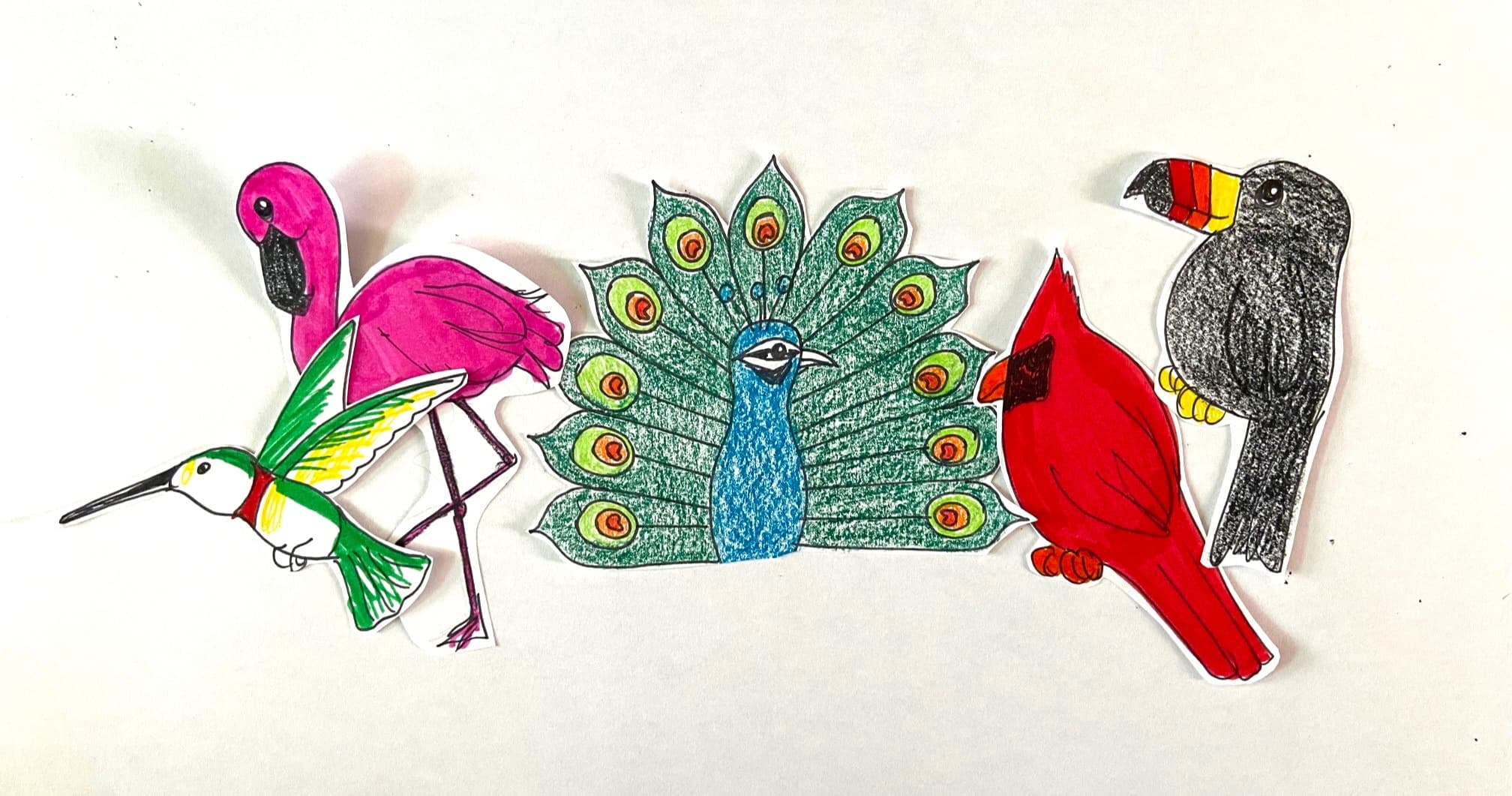 Art Class - Draw Five Beautiful Birds