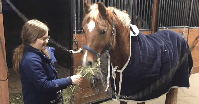 Science & Nature Class - Equine Feeds