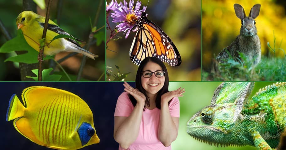 Science & Nature Class - Zoology: 6 Main