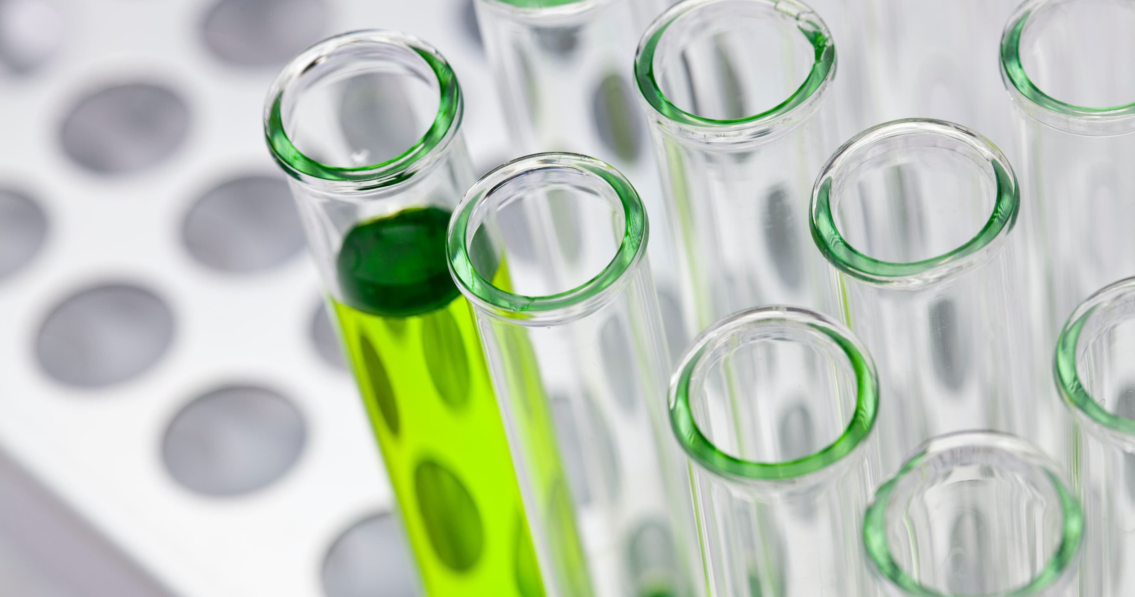 Science & Nature Class - Intro to Bio