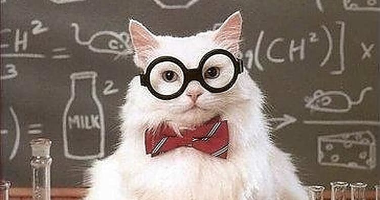 Science & Nature Class - Explore Chem