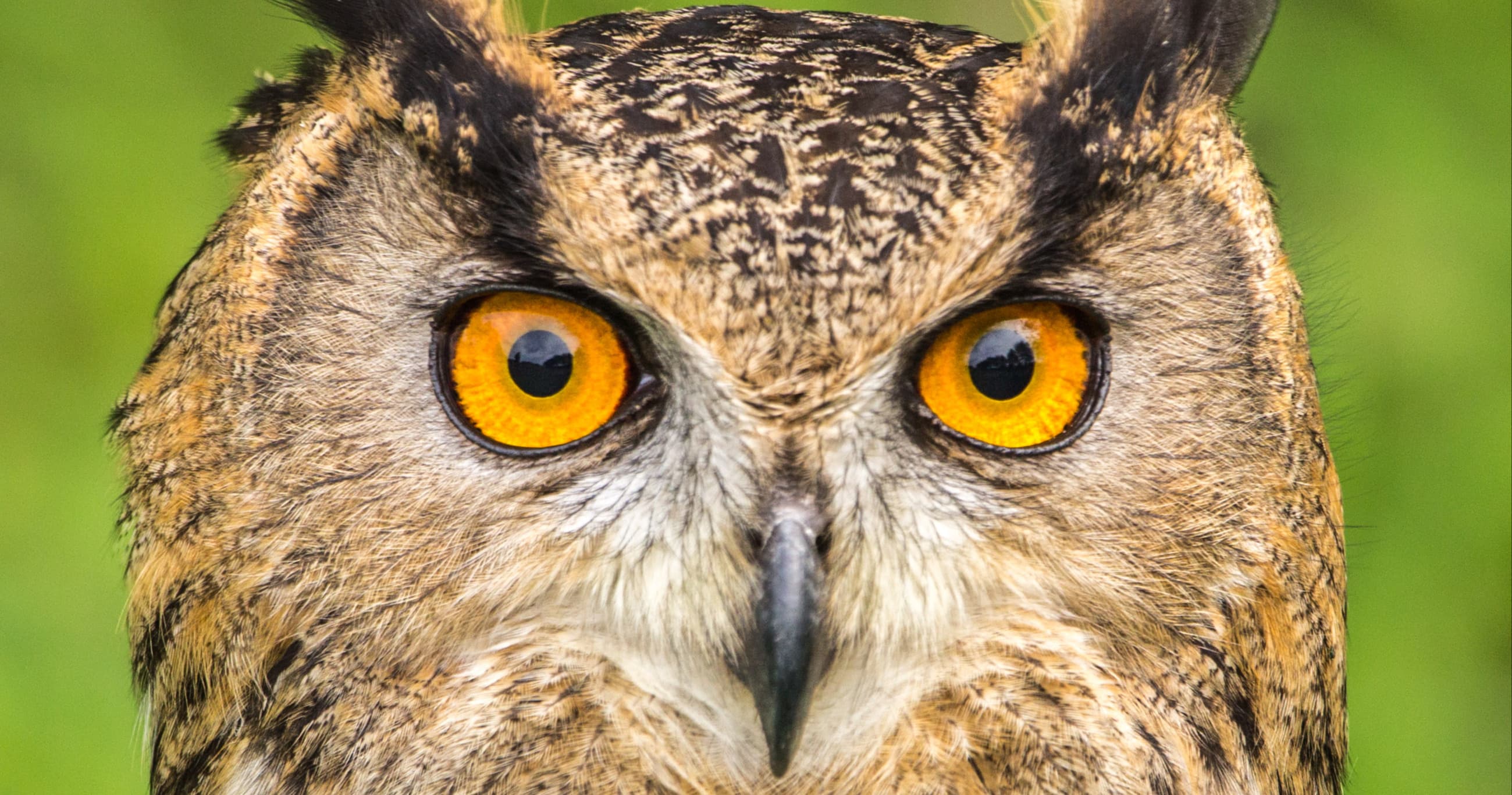 Science & Nature Class - Ecology: Life