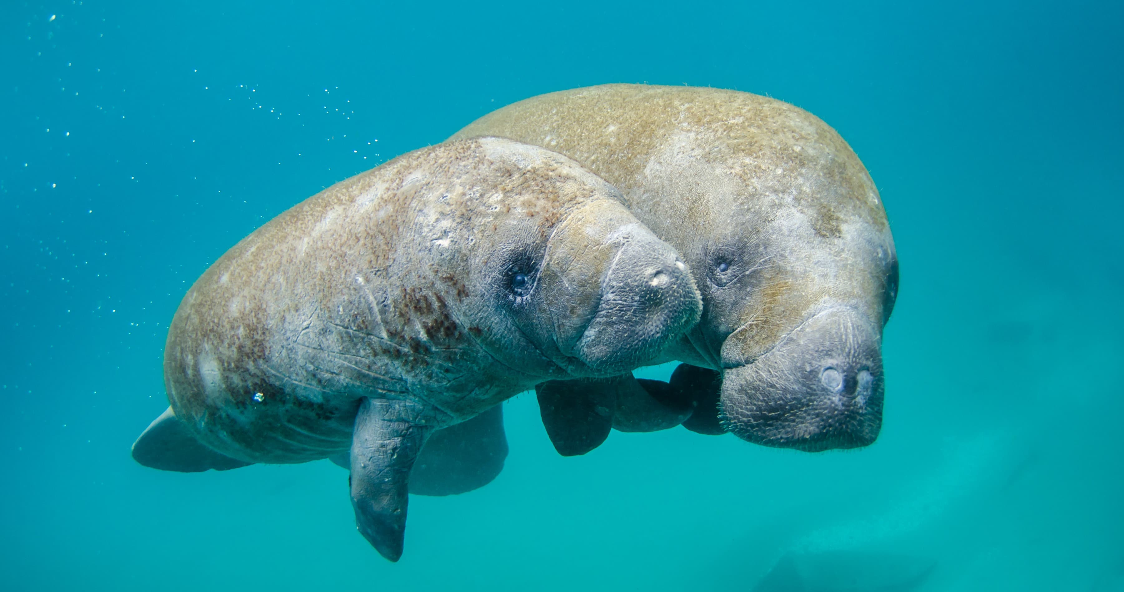 Science & Nature Class - Explore Marine