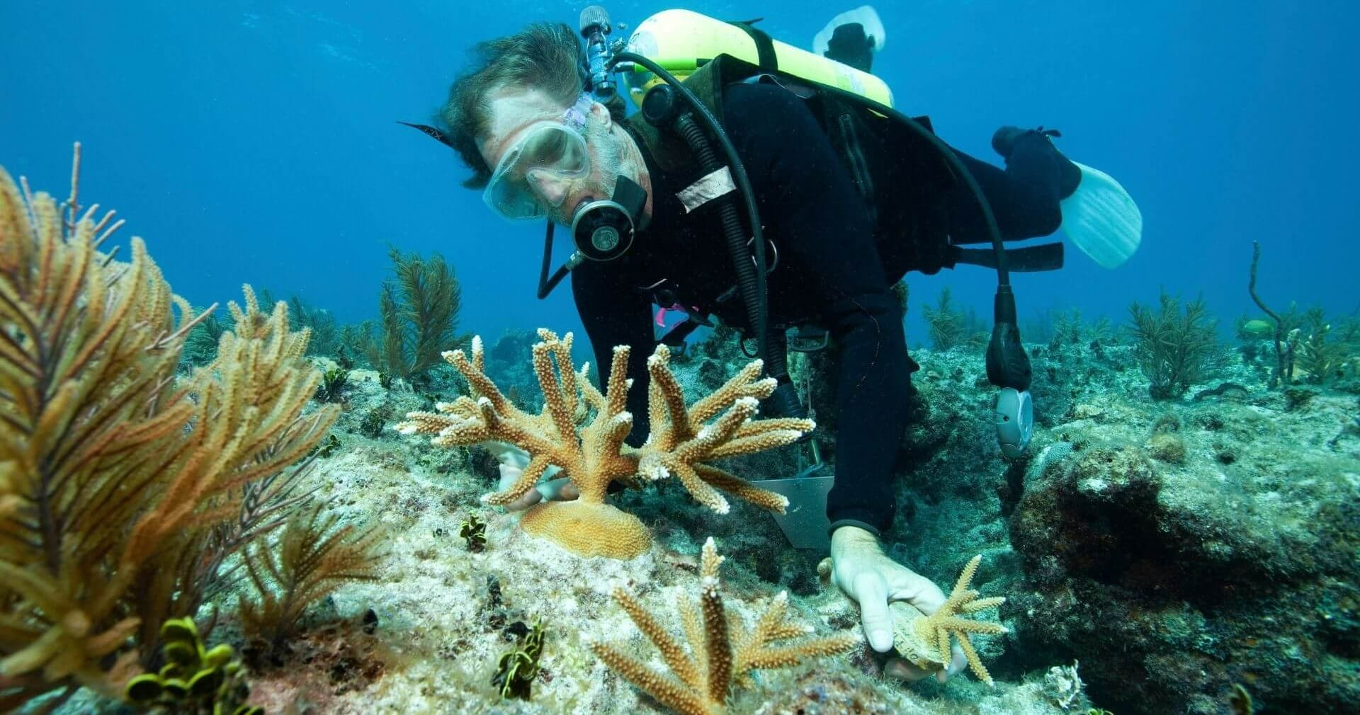 Science & Nature Class - Wild Careers