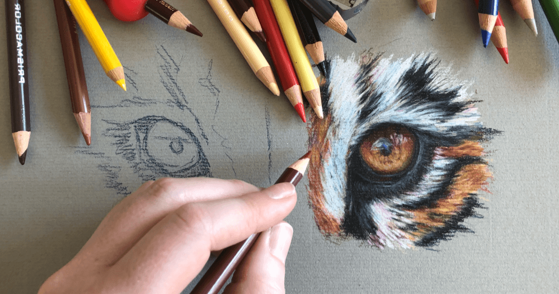 Art Class - Vibrant Colored Pencil Art
