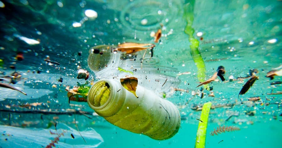 Science & Nature Class - Marine Conserv