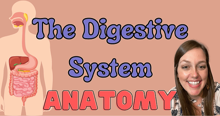 Science & Nature Class - Digestive Sys