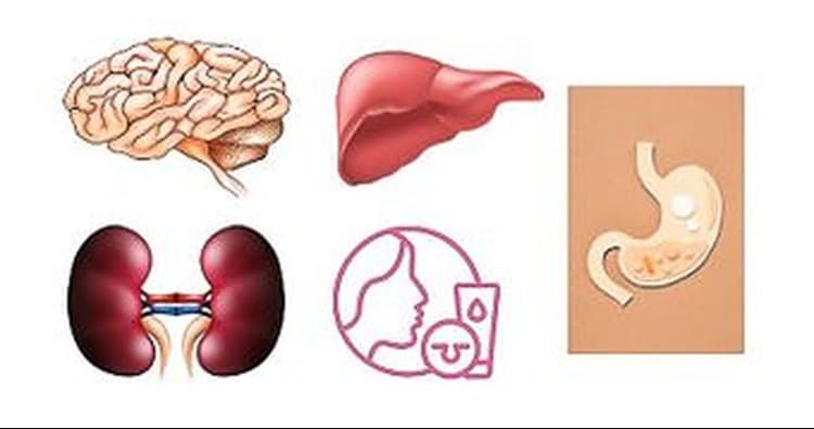 Science & Nature Class - 5 Key Organs