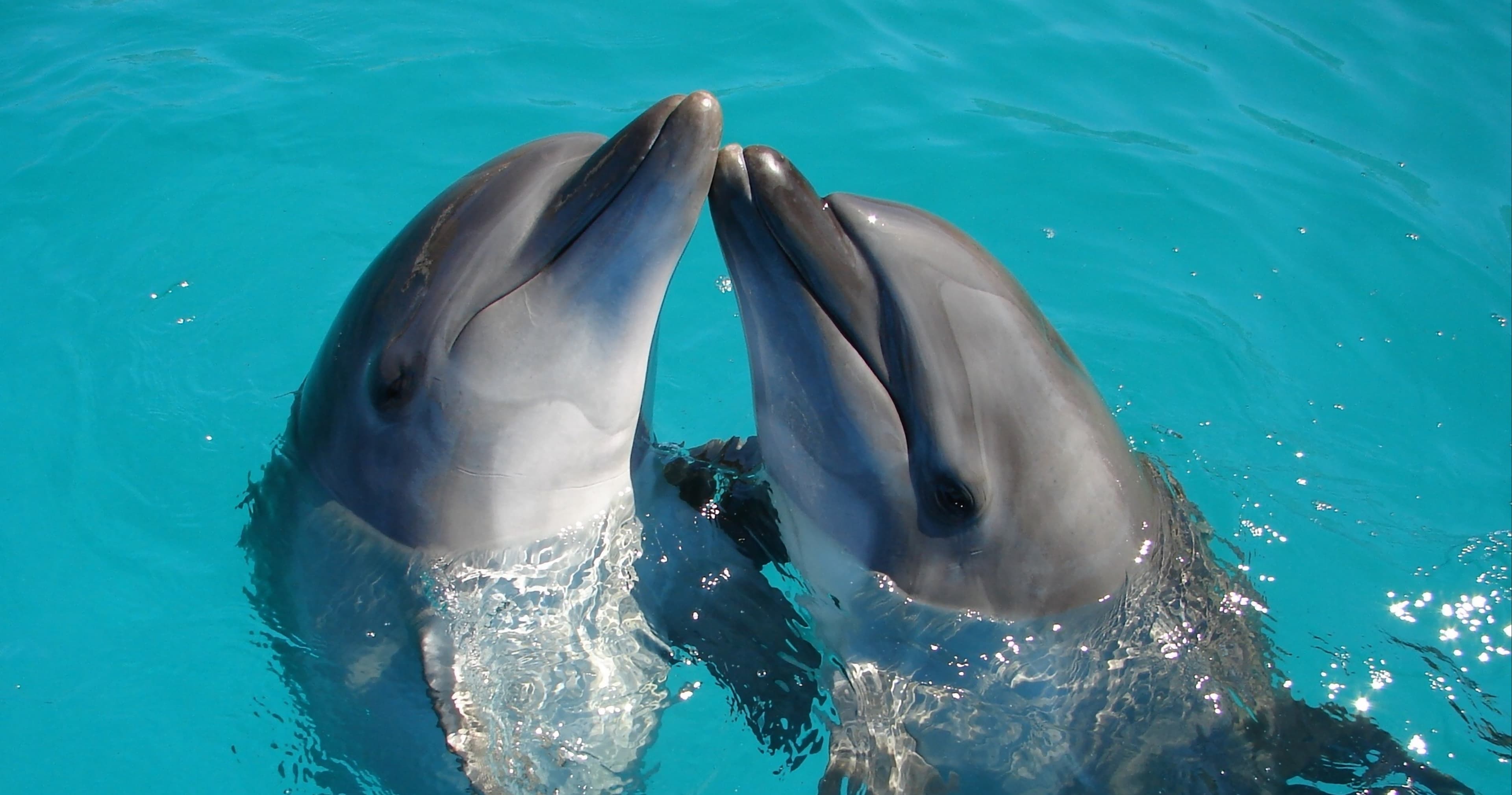 Science & Nature Class - Discover Marine