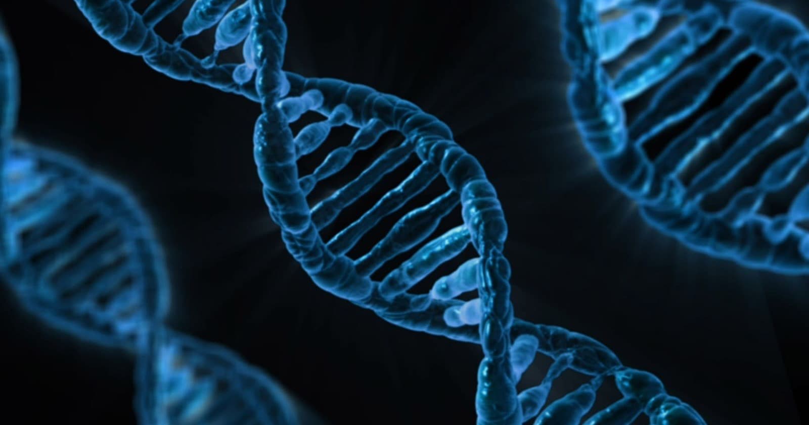 Science & Nature Class - Intro to Genes