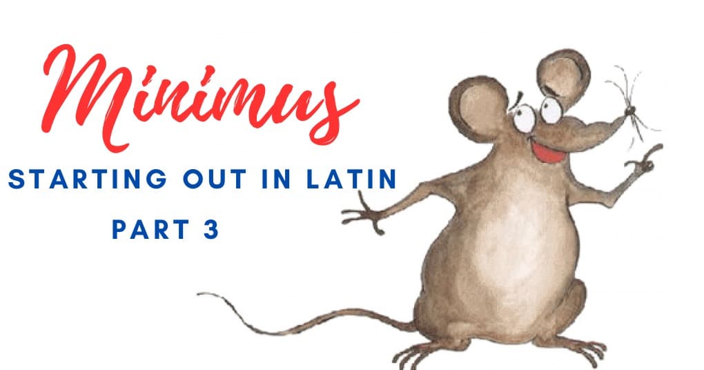 World Languages Class - Intro to Latin