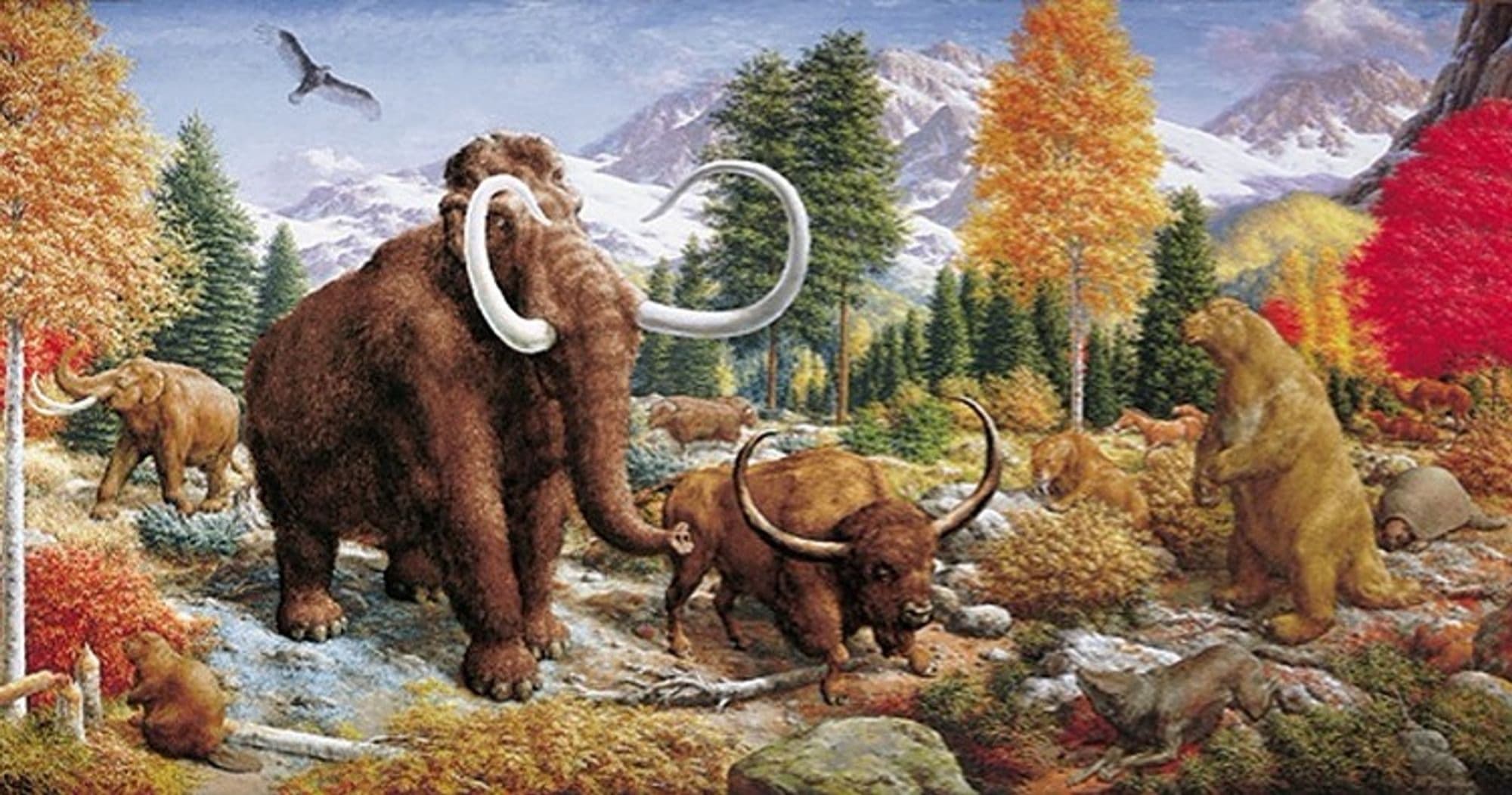 Science & Nature Class - Beasts of Ages