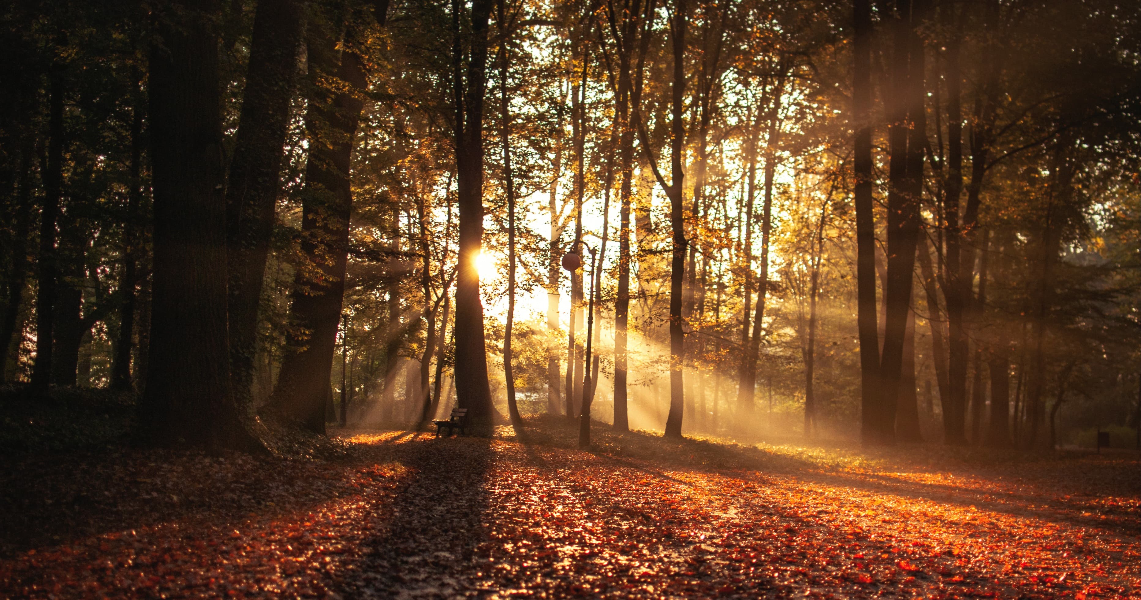 Science & Nature Class - Autumn Nature