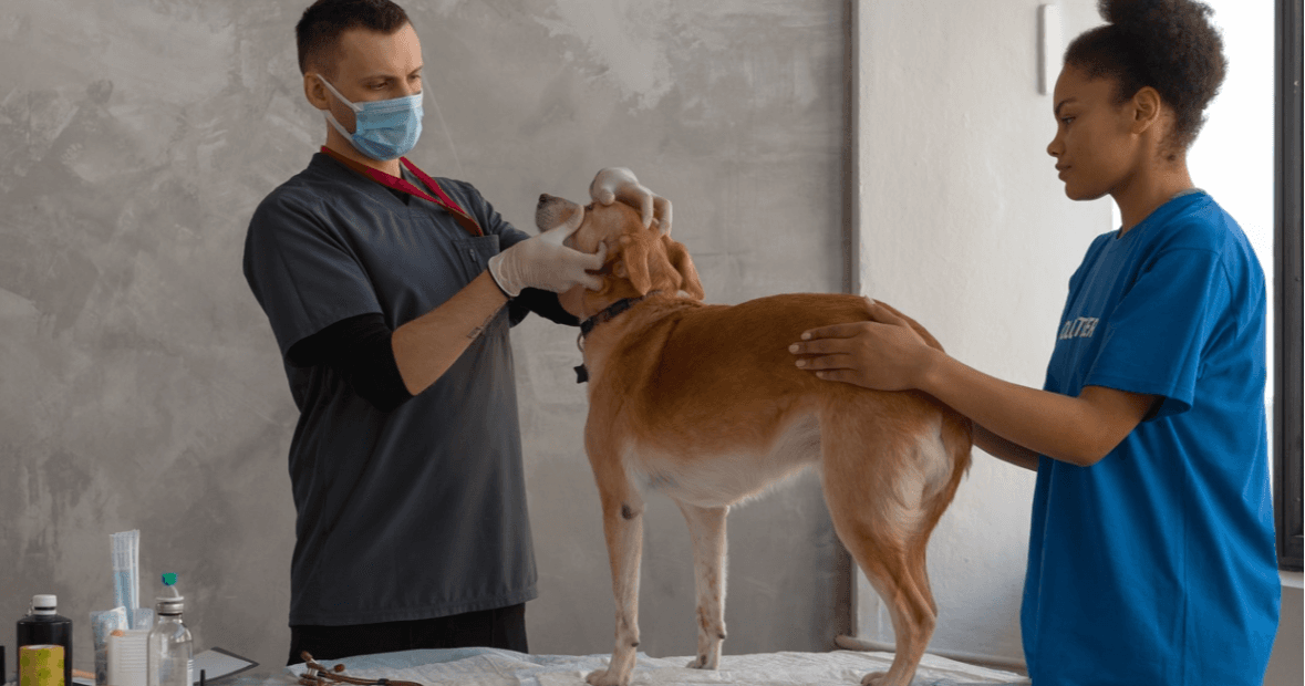 Science & Nature Class - Vet Assistant