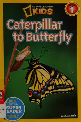 Caterpillar to Butterfly (Laura Marsh, Paperback,