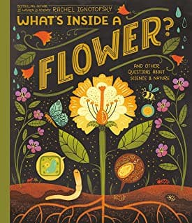 What's Inside A Flower?: And Other Questions