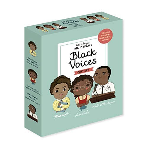 Little People, BIG DREAMS: Black Voices: 3 books