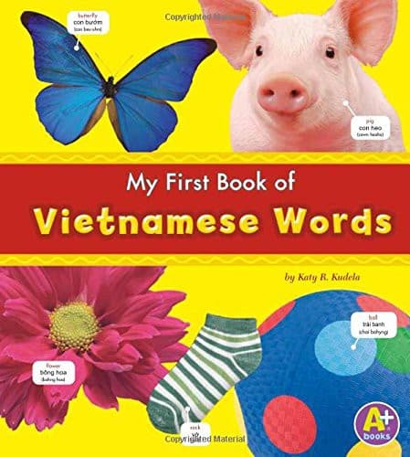 My First Book of Vietnamese Words