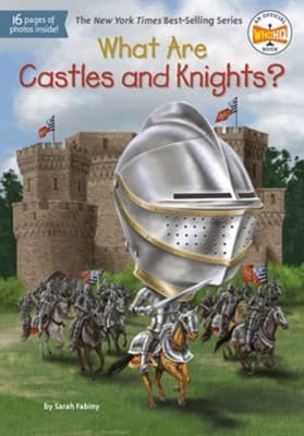 What Are Castles and Knights? (Sarah Fabiny,